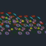 Flowers Cad Drawing