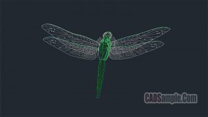 Dragonfly Cad Dwg